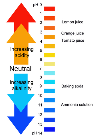 EcoCarpet | Juice Spills